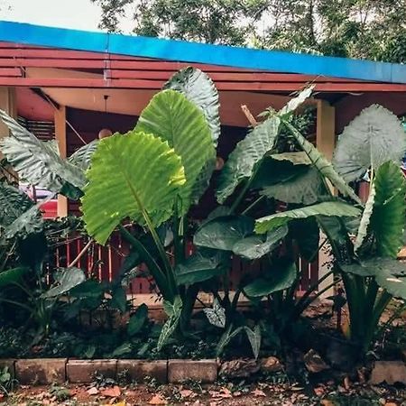 Song Pee Nong Resort Phattalung 帕他仑 外观 照片