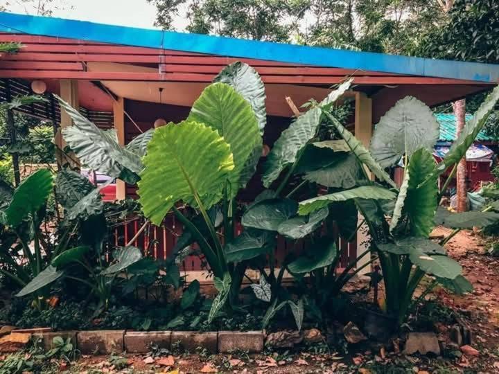 Song Pee Nong Resort Phattalung 帕他仑 外观 照片